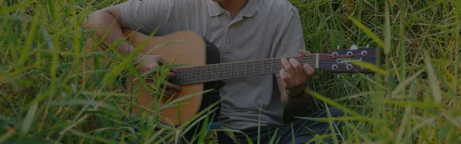 pro cover